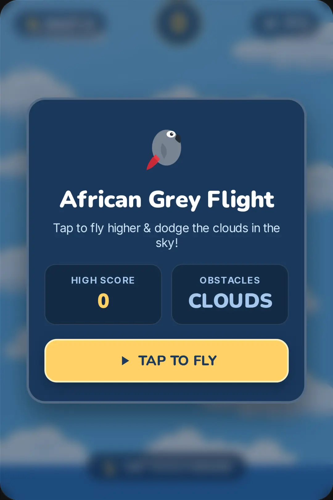 African Grey Flight cover
