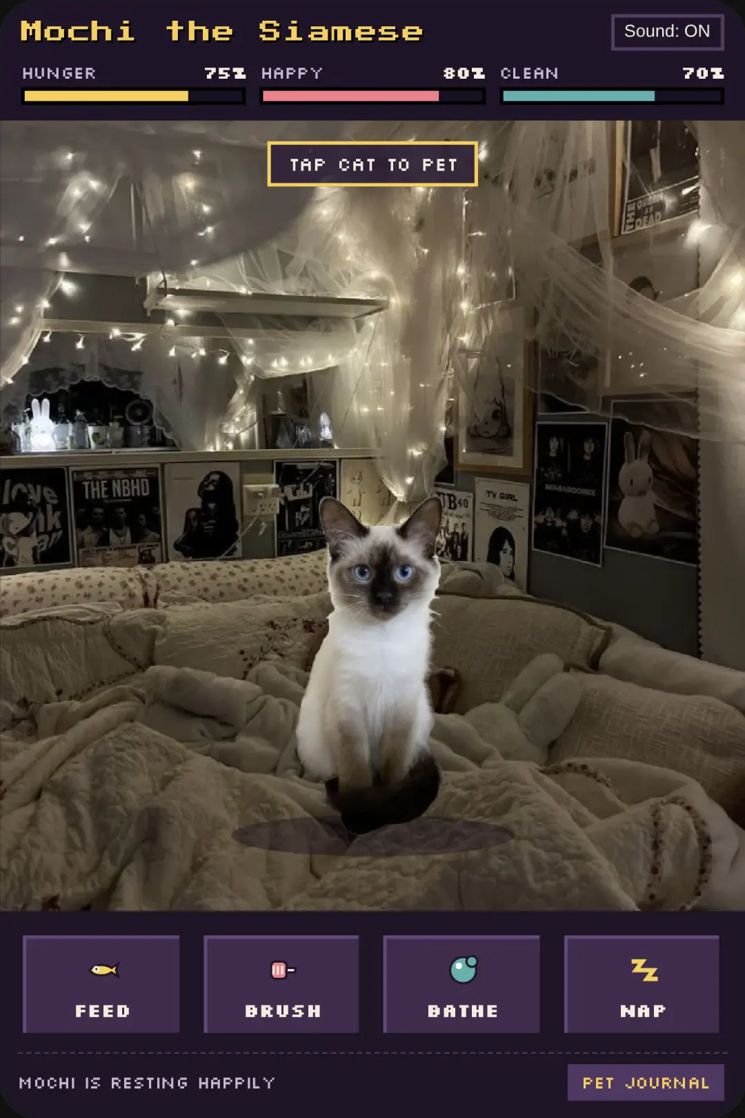Care for a kitten cover