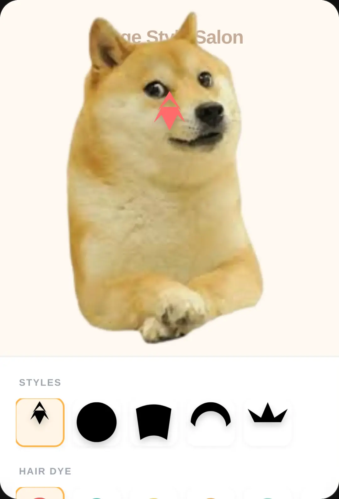 Doge Style Salon cover