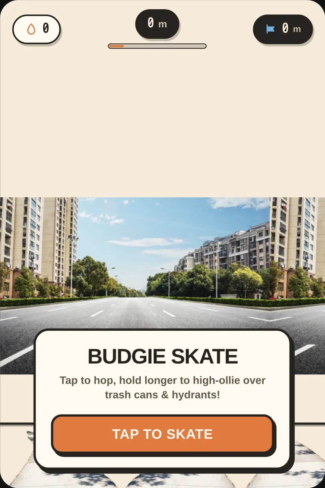 Budgie Skate cover