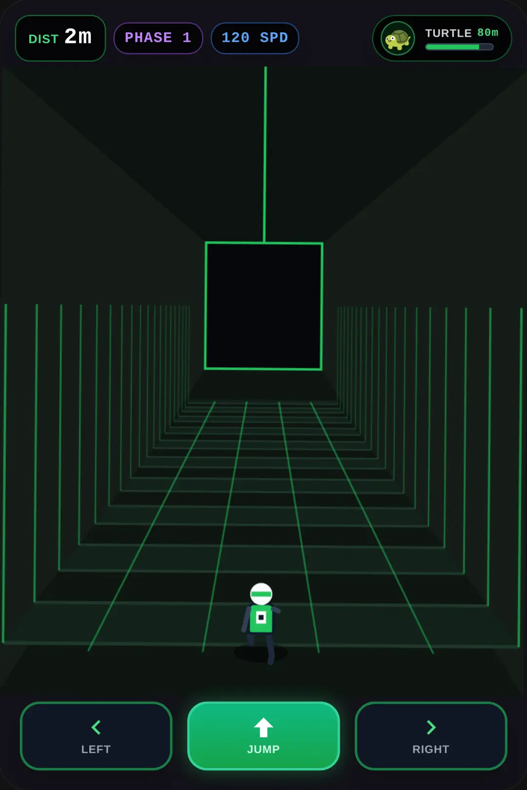 Crazy Turtle Hallway Chase cover