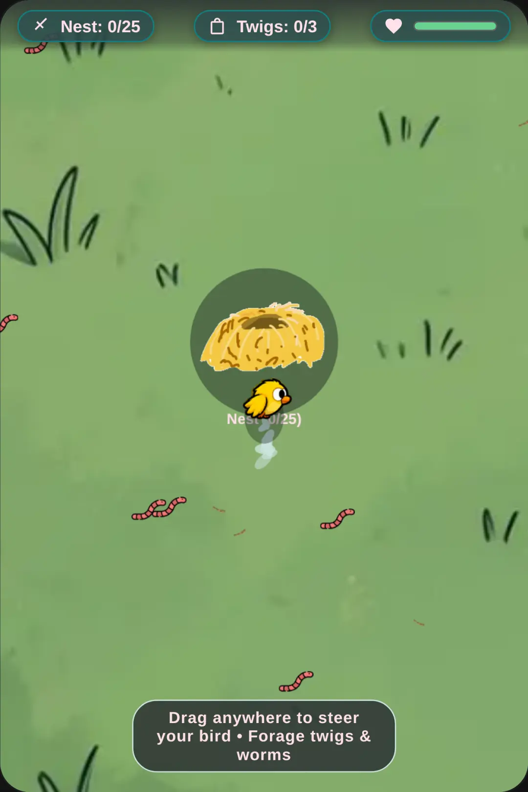 Feather & Forest cover