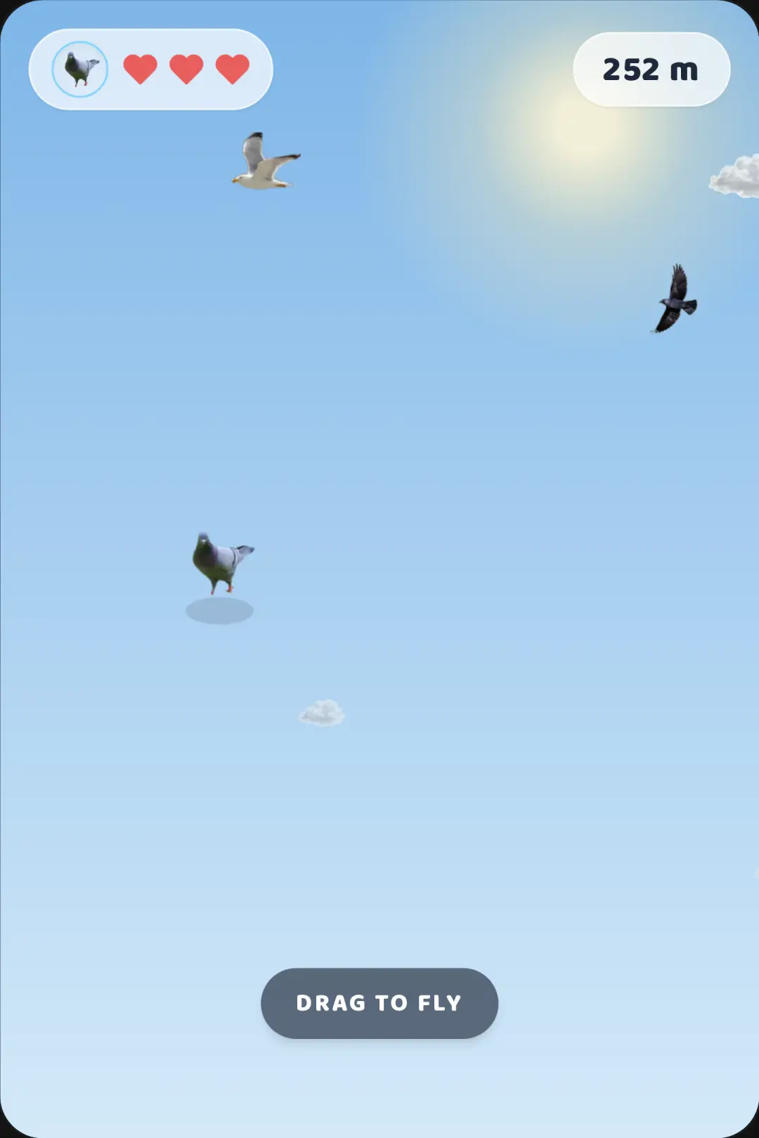 Sky Dove cover