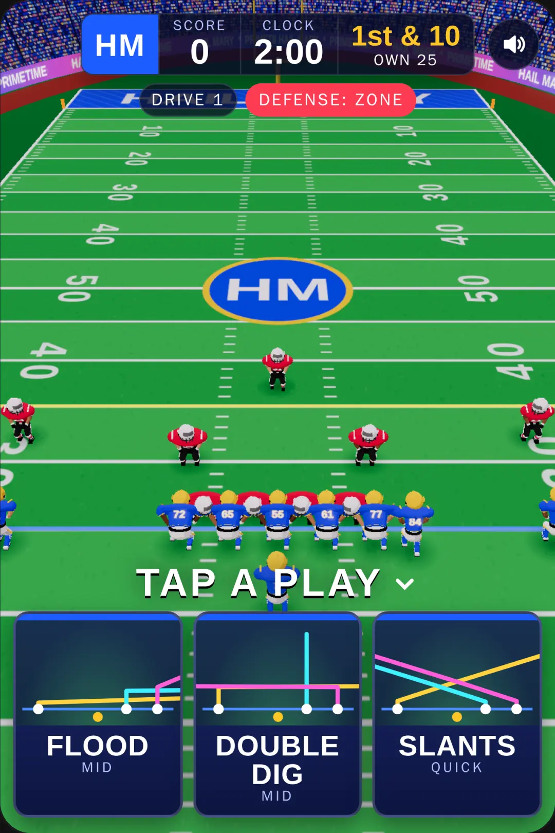 Hail Mary cover