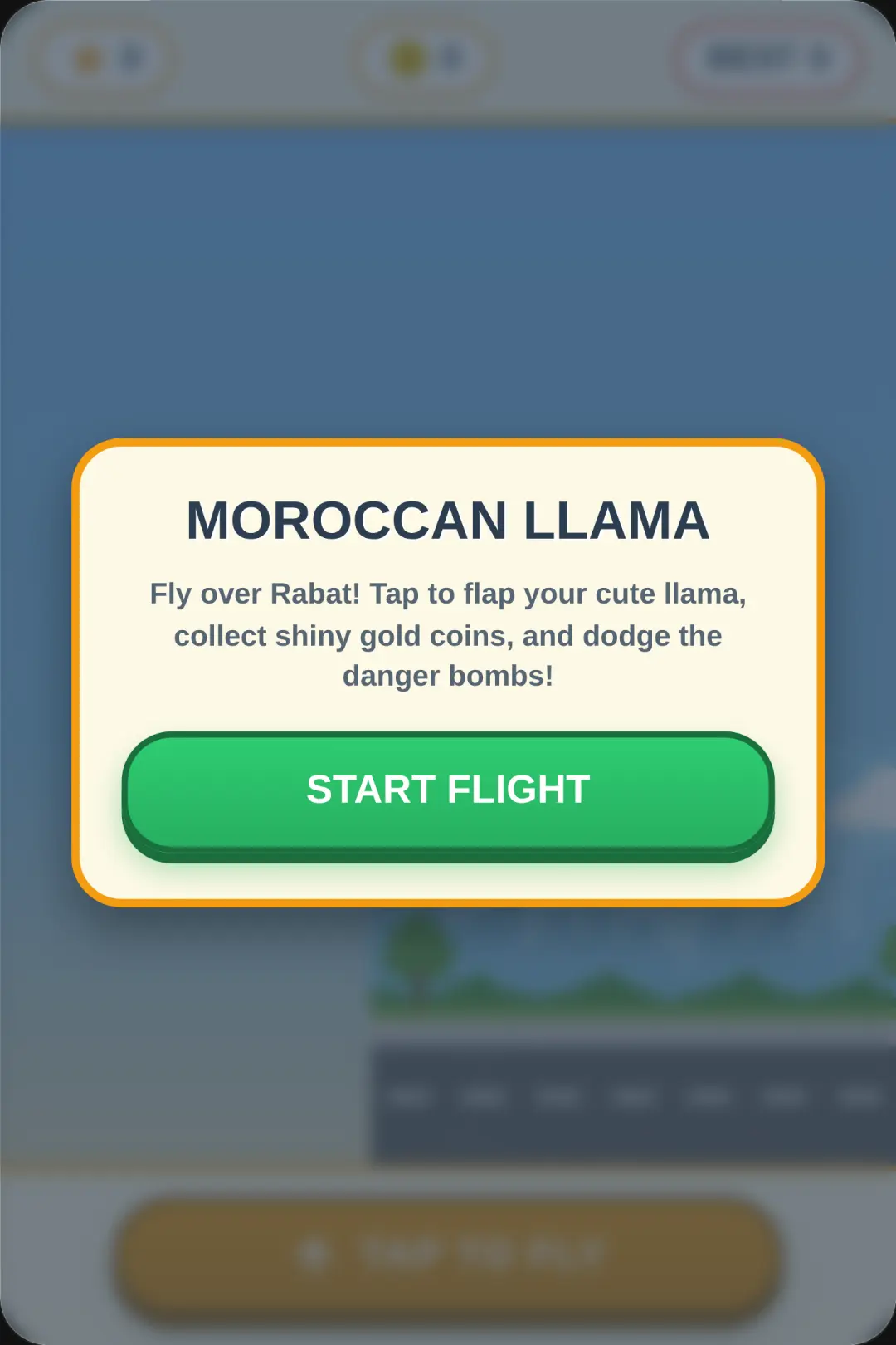 Moroccan Llama Flight cover