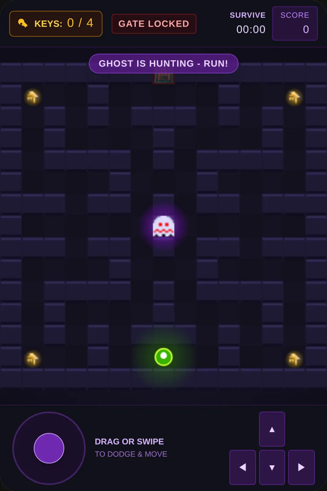 Haunted Maze Chase cover