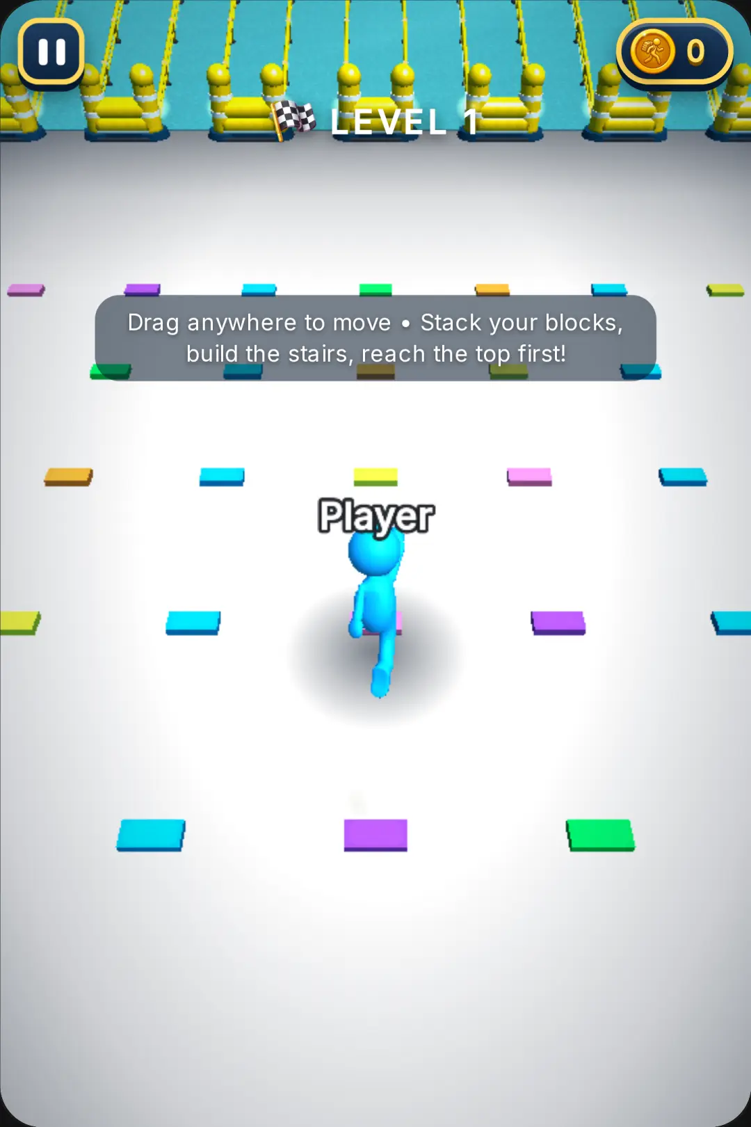 BACK BRICK RACE cover
