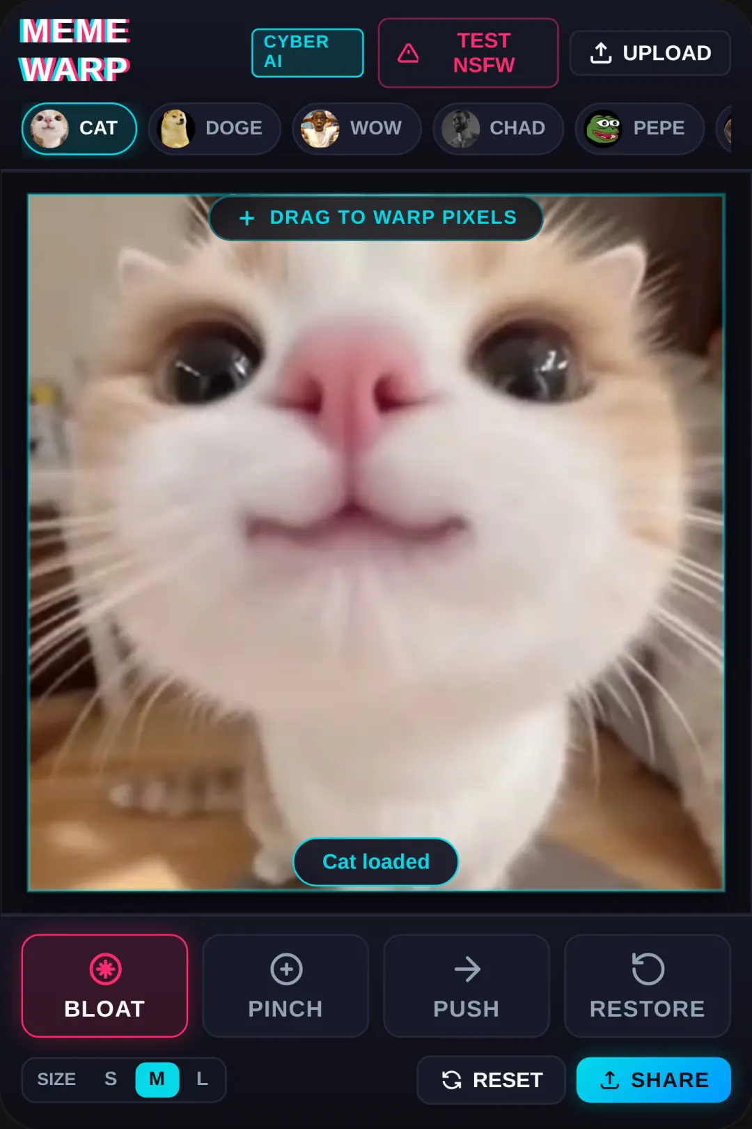 Meme Warp AI cover
