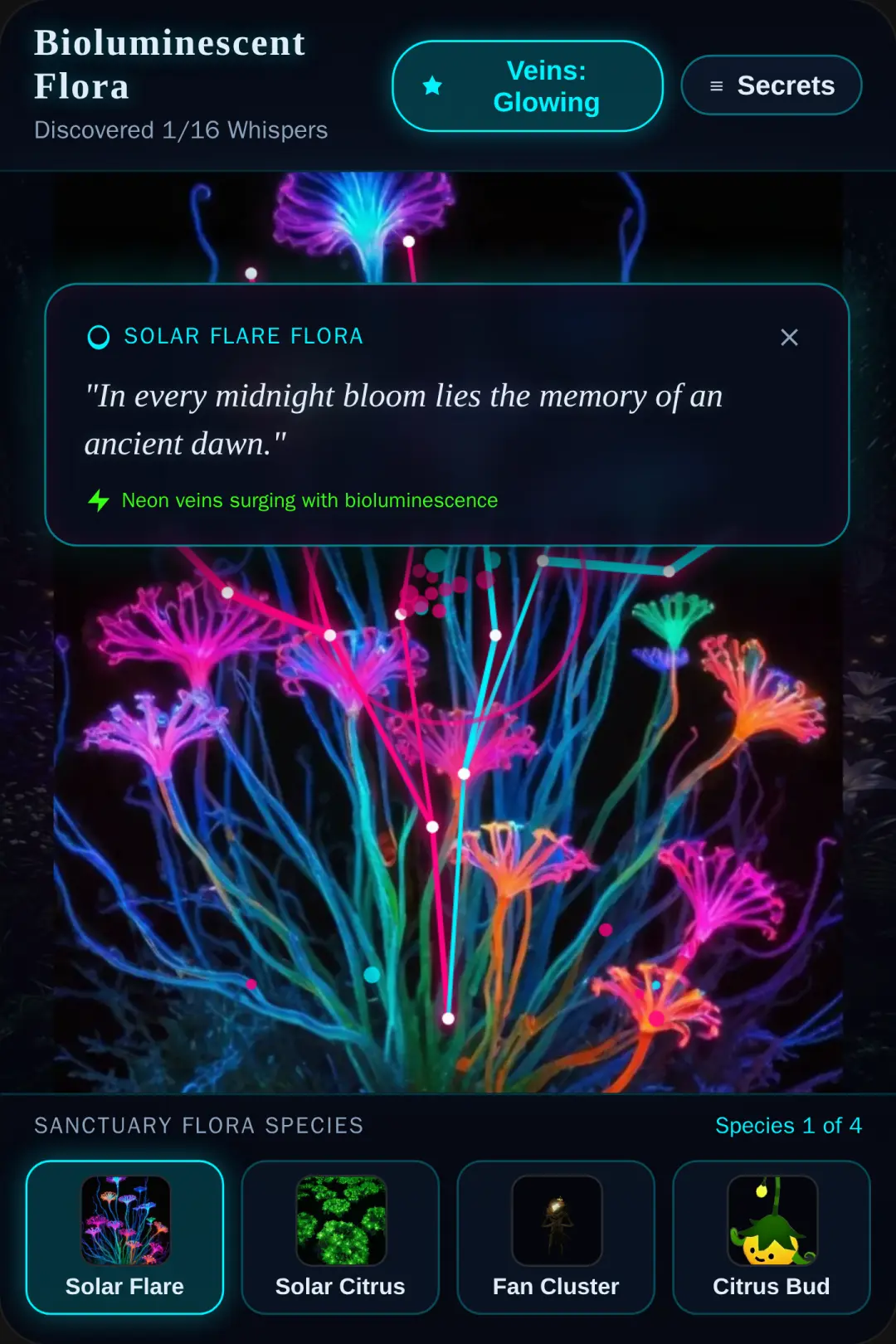 Flowers secret cover