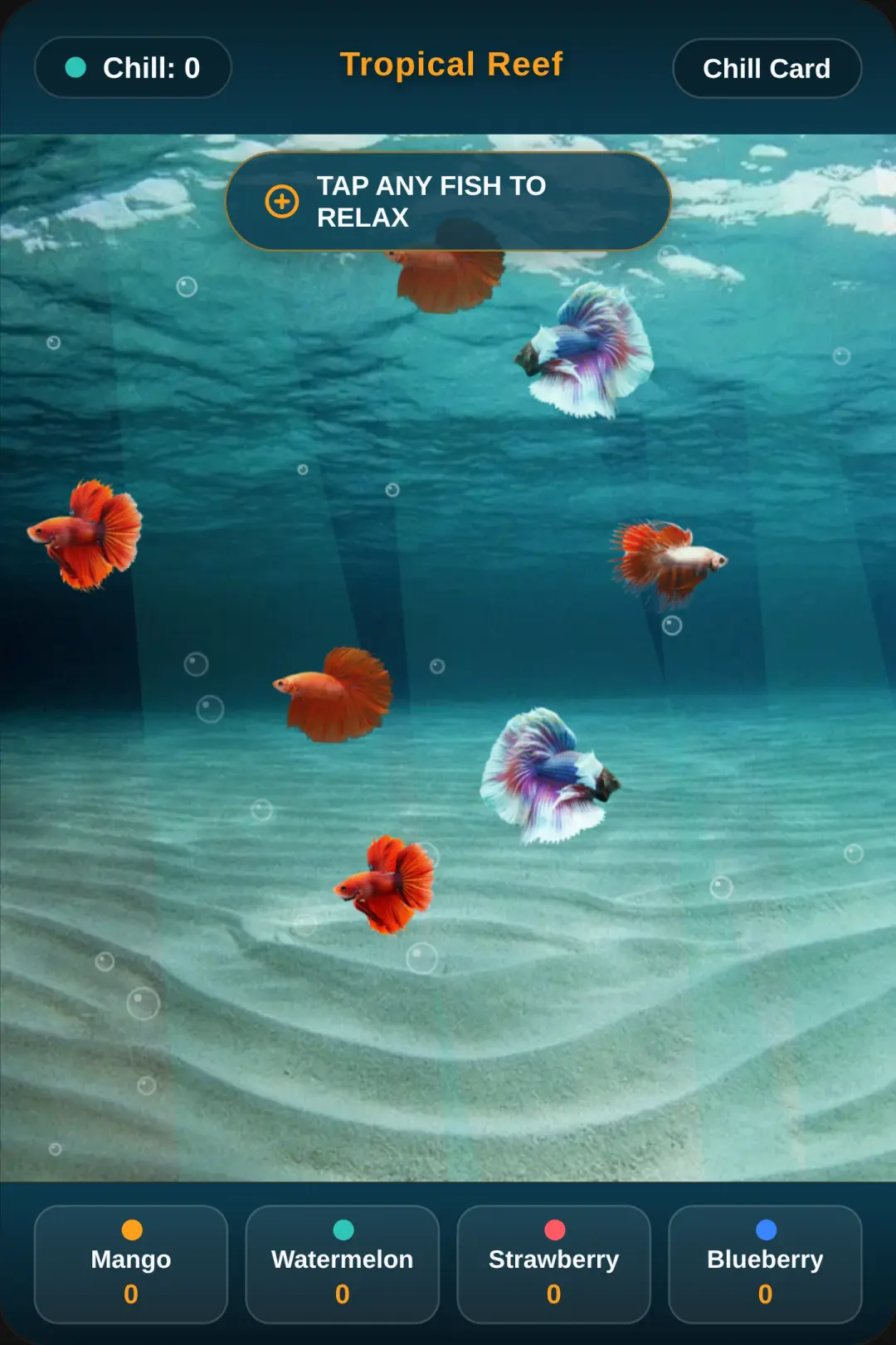 ★°🥭... Fruit fishes... 🍉°★ cover