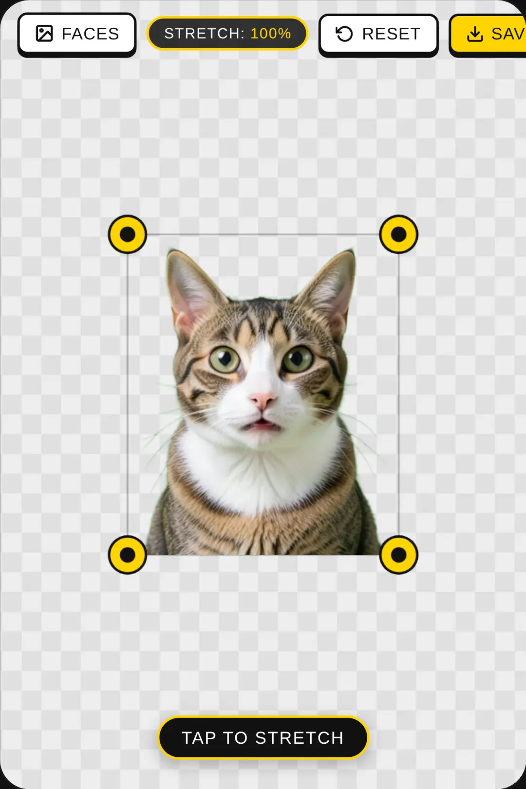 Meme Stretcher I know it’s bad :( cover