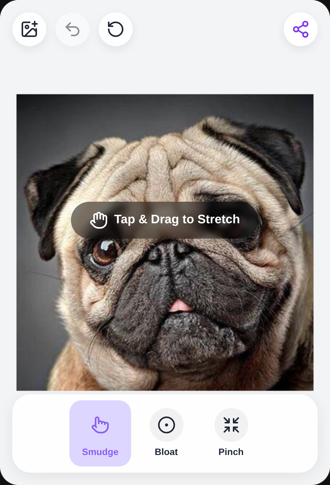 Face Stretcher cover