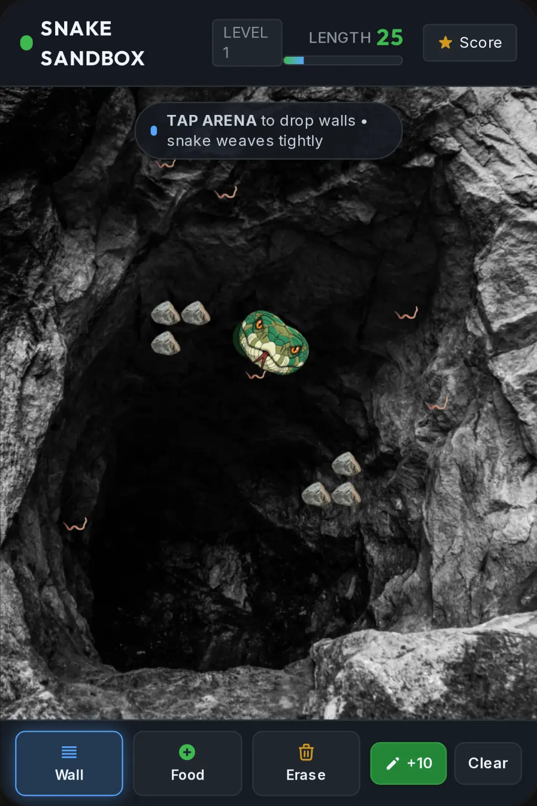 Snake Sandbox cover