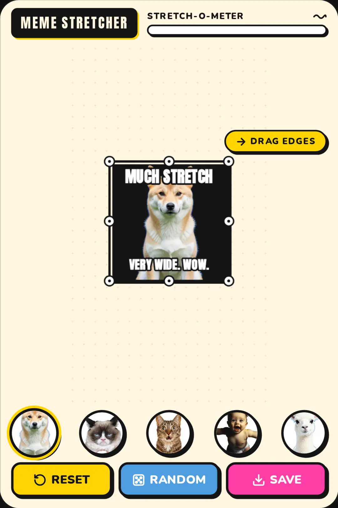 Meme Stretcher o lottery cover