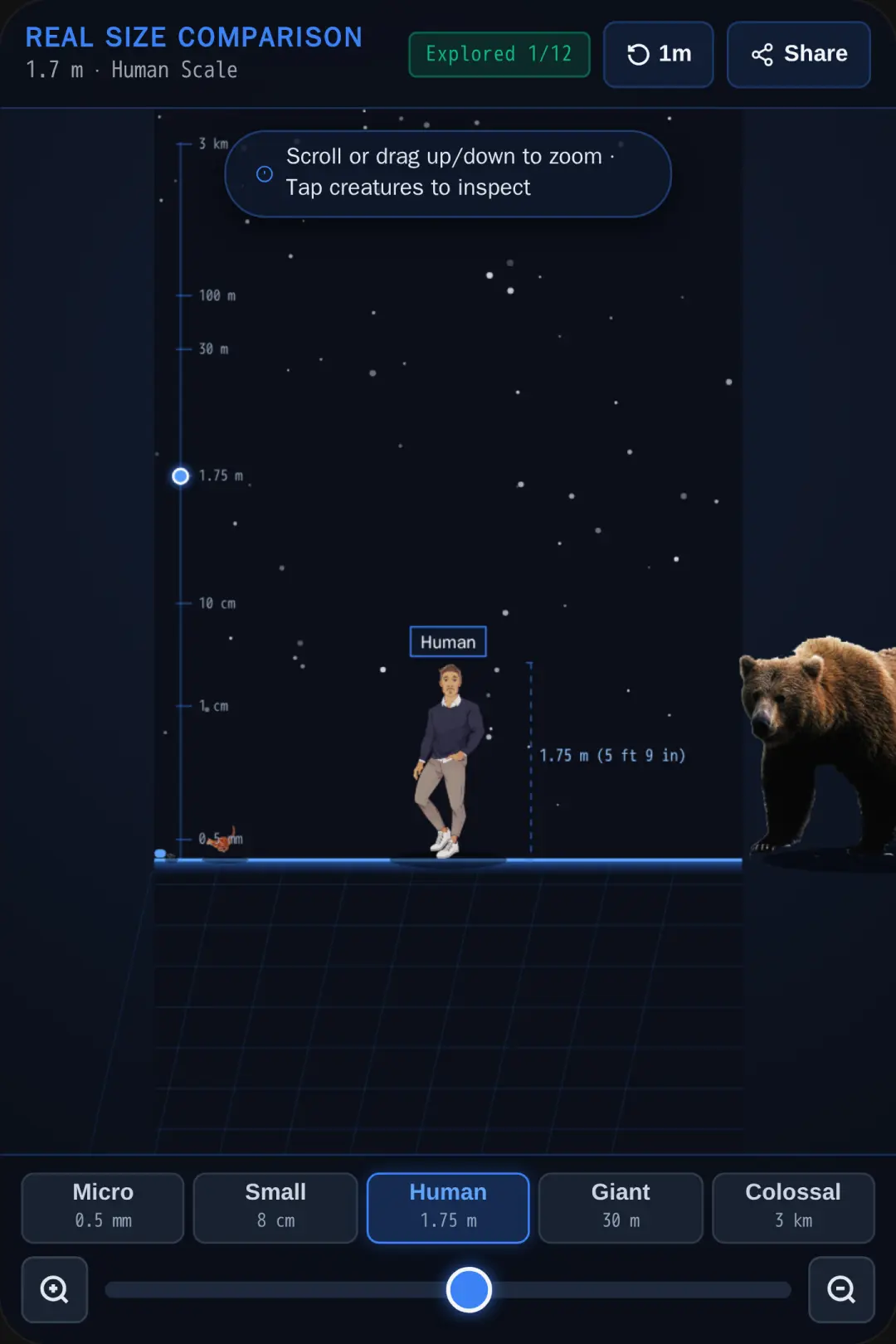 Size comparison cover