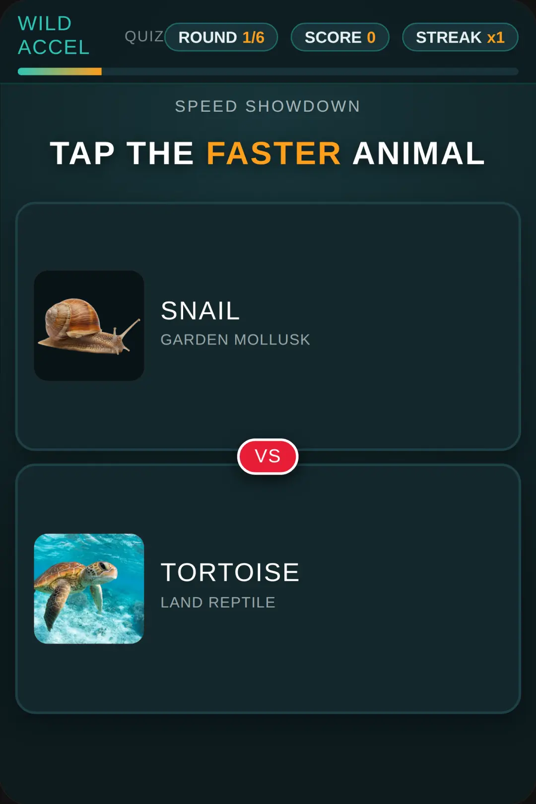 Animal Speed Quiz cover