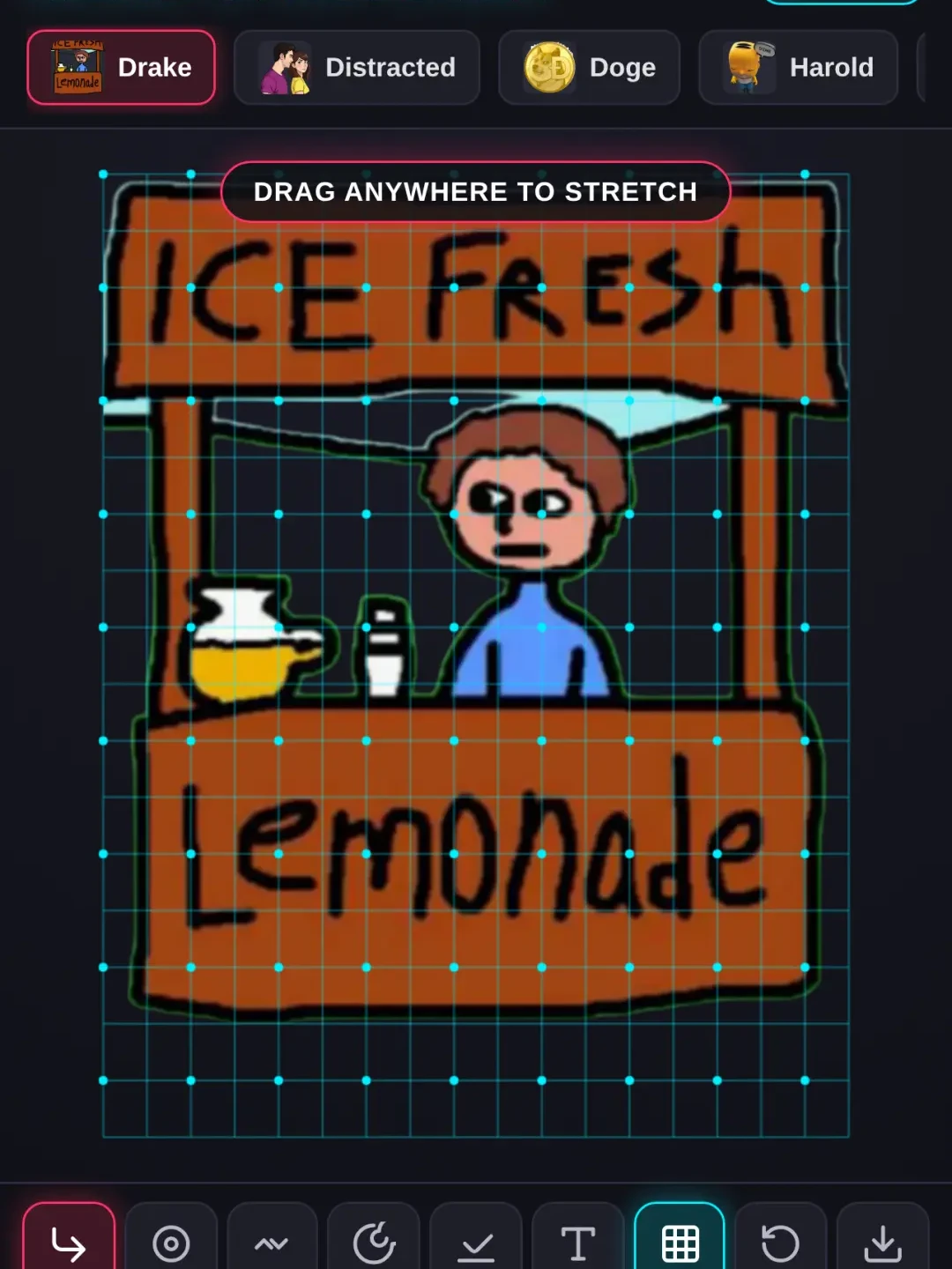 Meme Stretcher cover