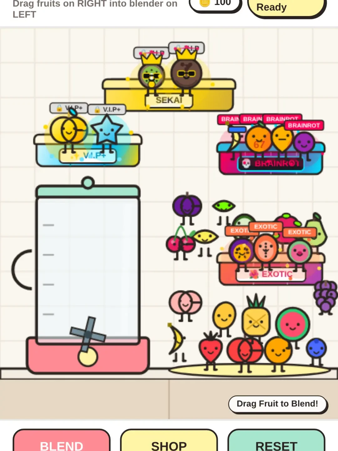 Milkshake Ragdoll Kitchen cover
