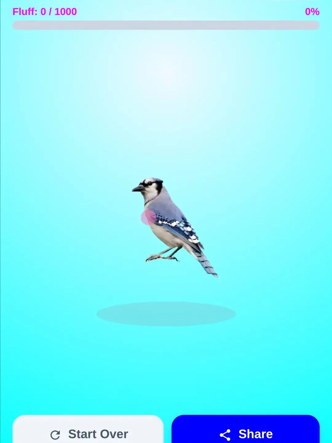 Pet Blue Jay Fluff cover