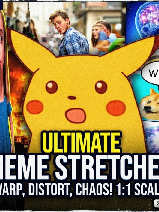 Meme Face Stretcher cover