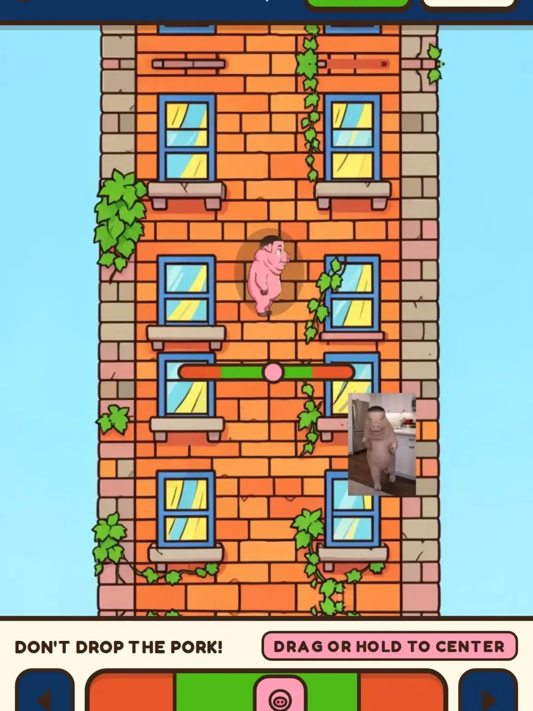 Don't Drop The Pork! cover