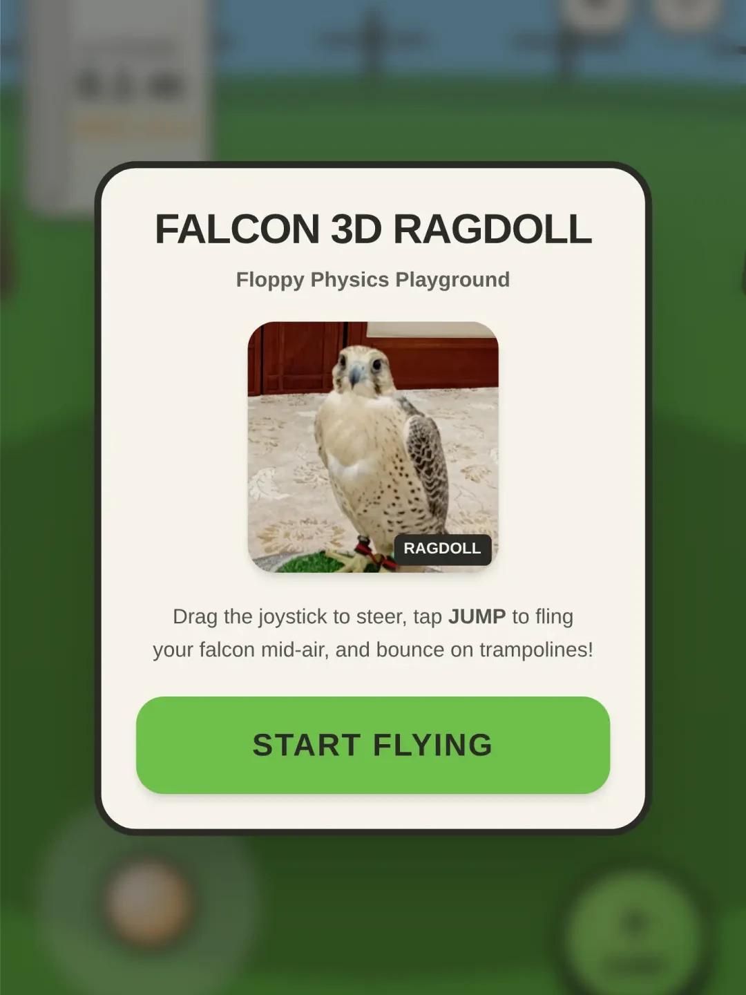 Falcon 3D Ragdoll cover