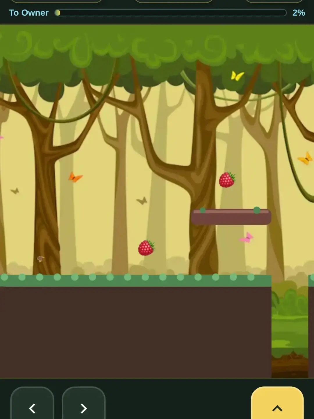 Kiwi Quest: The Lost Owner cover