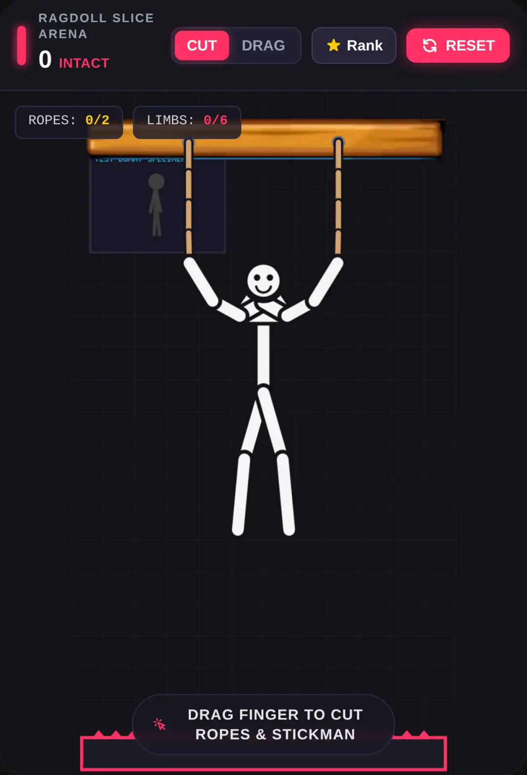 Ragdoll Slice Arena cover