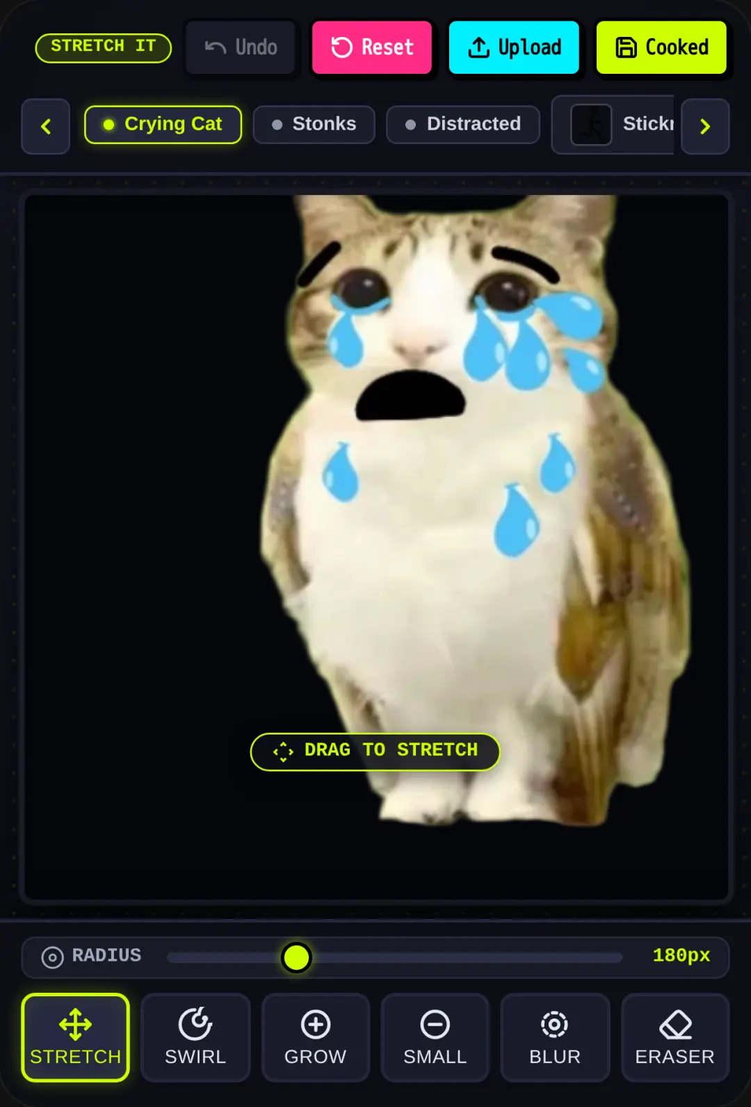 Meme Stretcher cover
