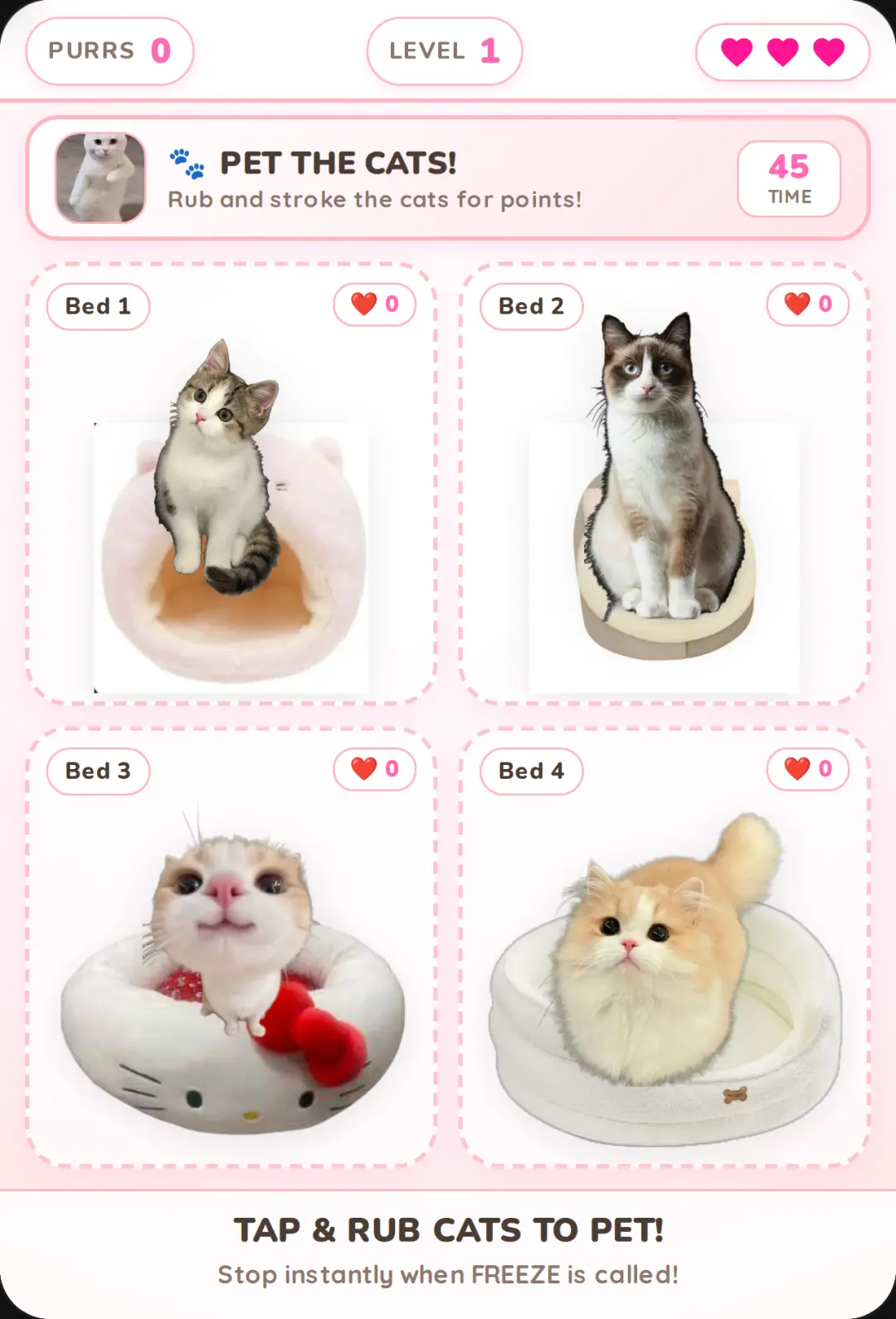 Pet The Cats: Freeze! cover