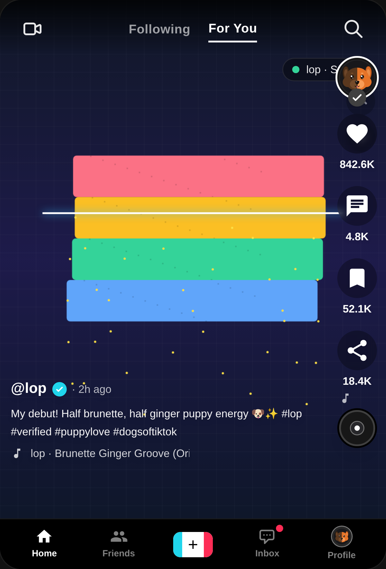 TikTok - lop cover