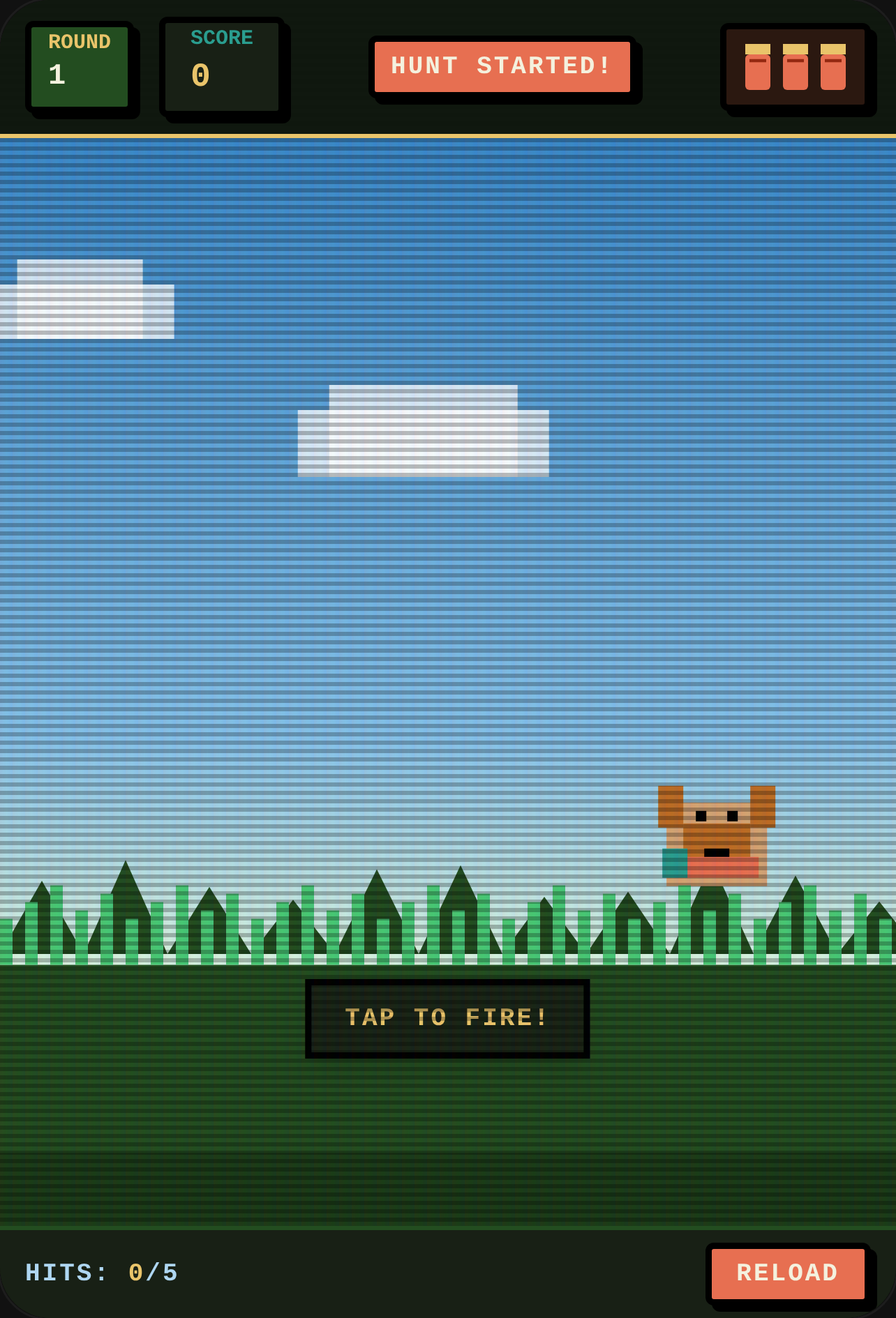 Hunting Dog & Bird Hunt cover