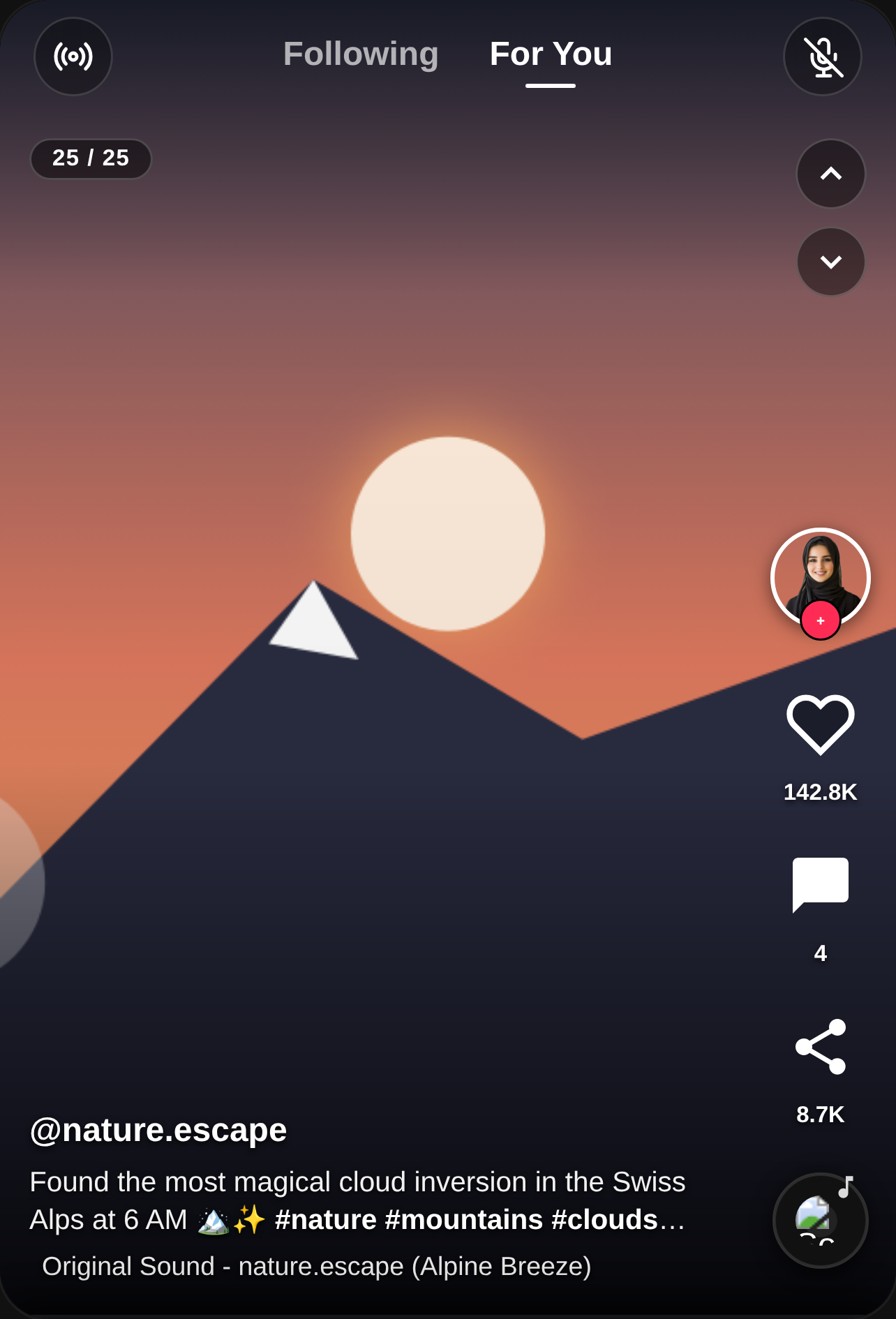 TikTok Video Simulator cover