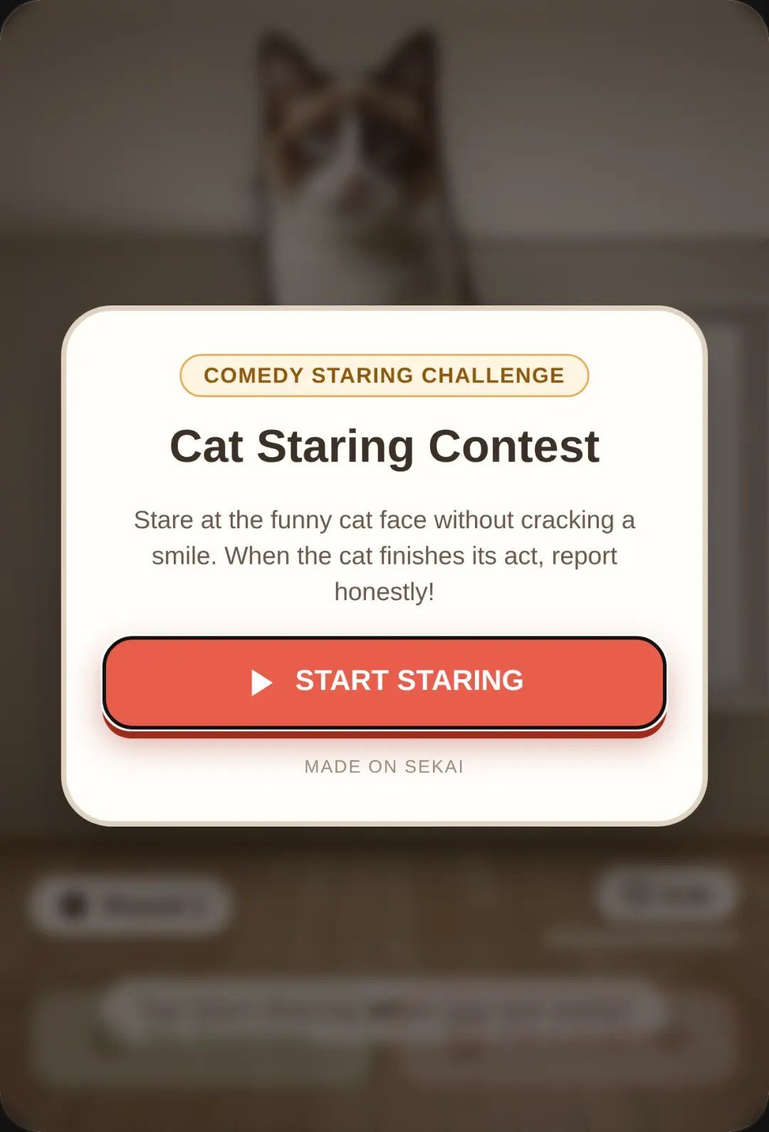 Cat Staring Contest cover