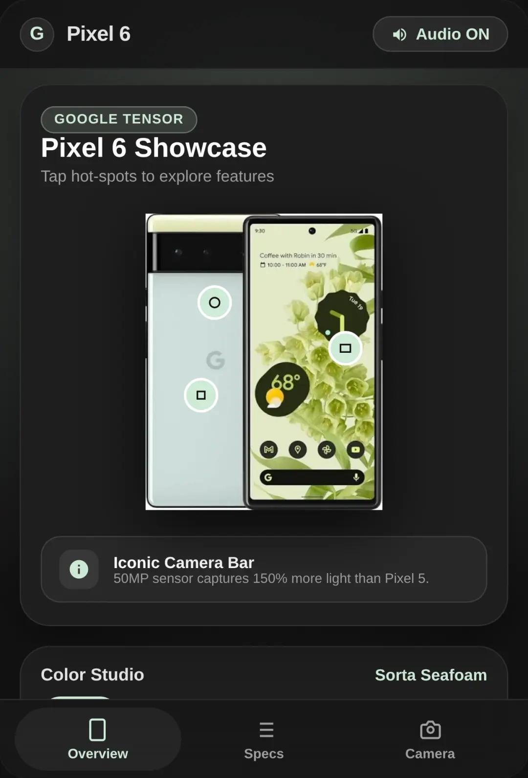 Google Pixel 6 Showcase cover