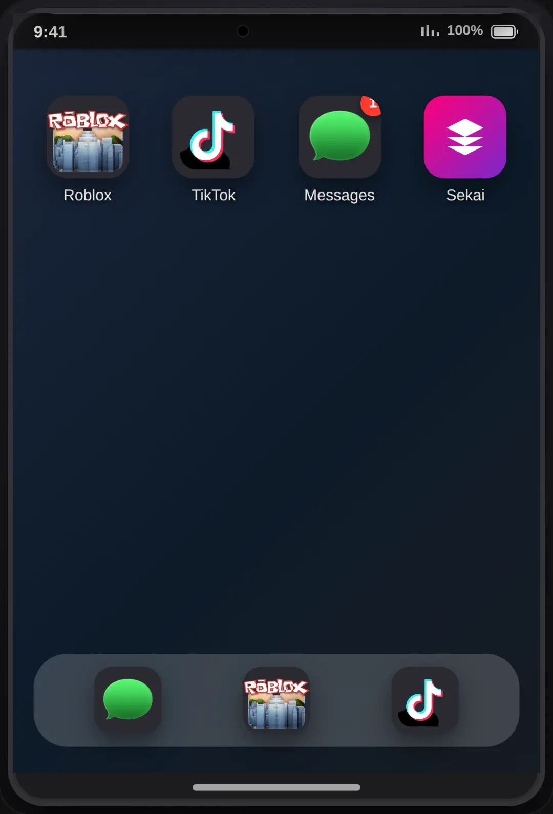 iPad Simulator cover