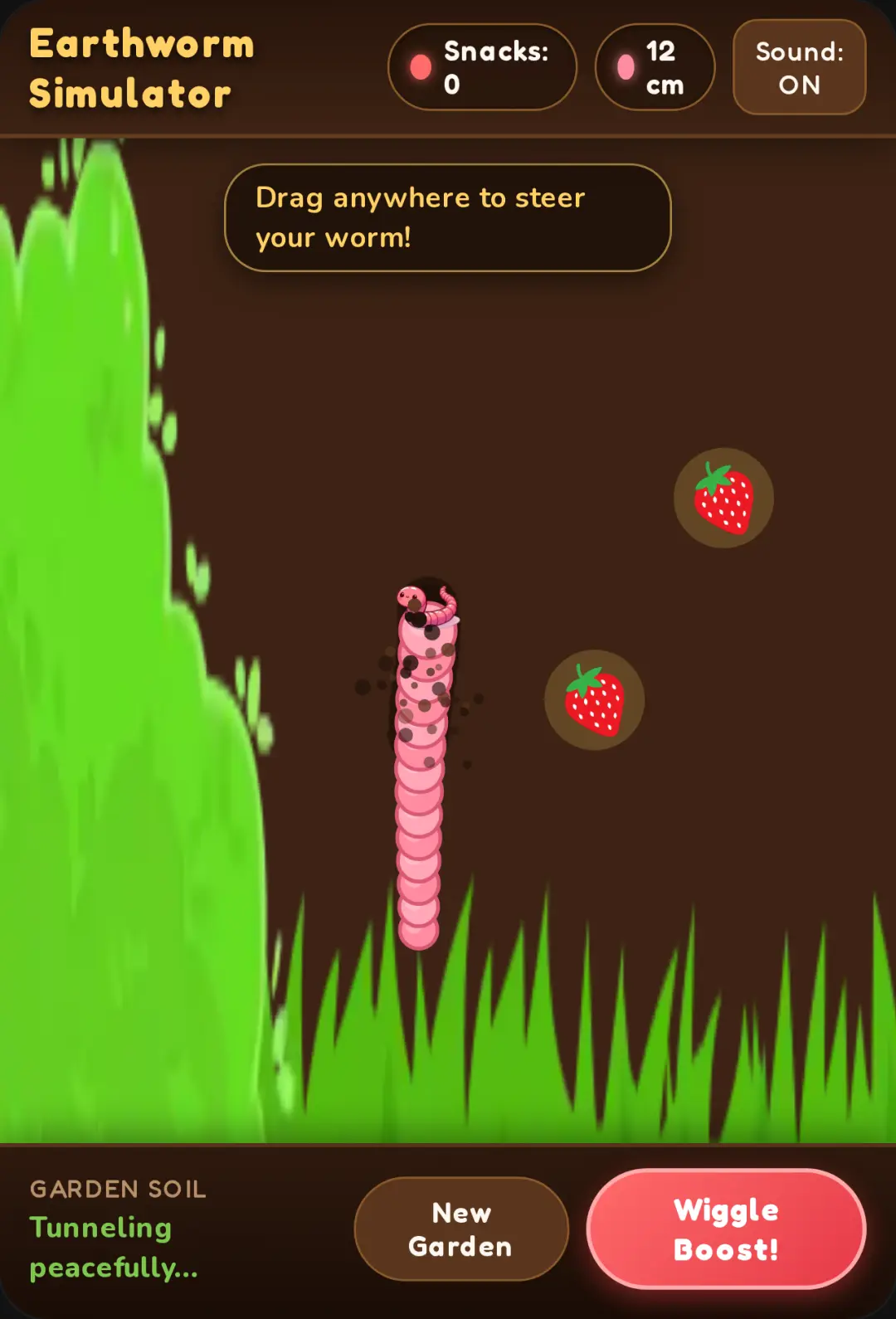 Earthworm Simulator cover