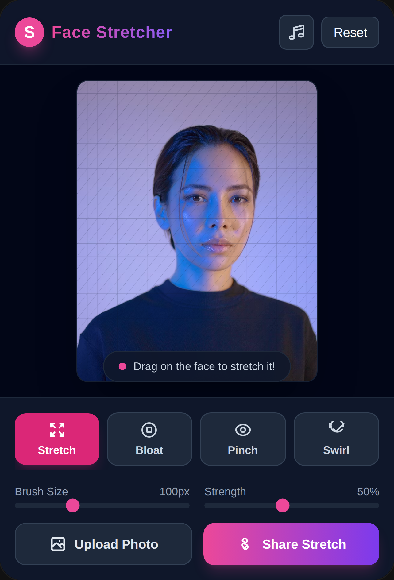 Face Stretcher cover