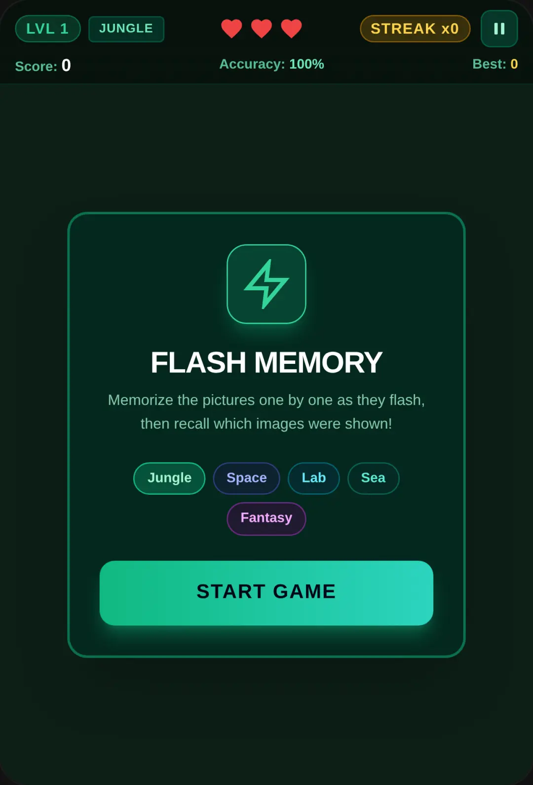 Flash Memory Challenge cover