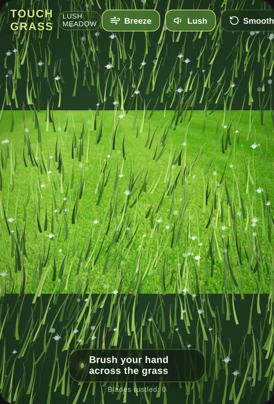 Touch Grass — Calming Meadow cover