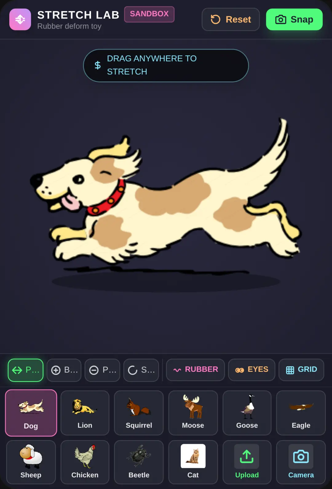 Animal Stretch Sandbox cover
