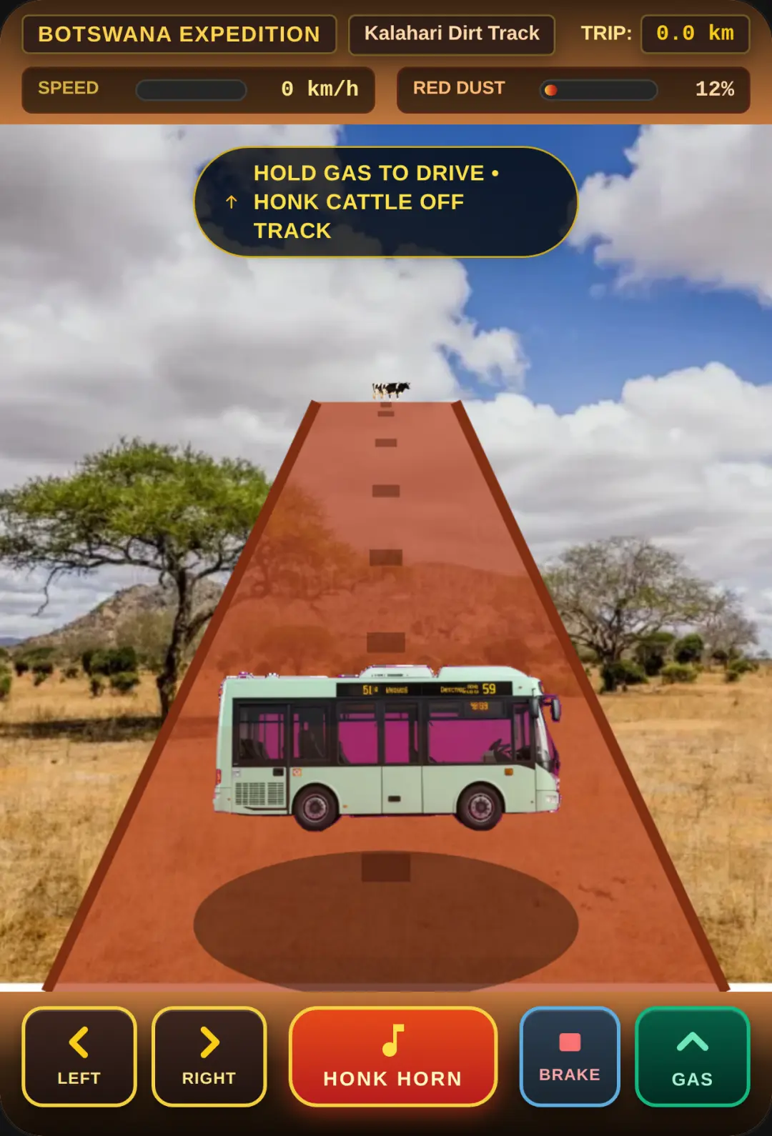 Botswana Bus Safari cover