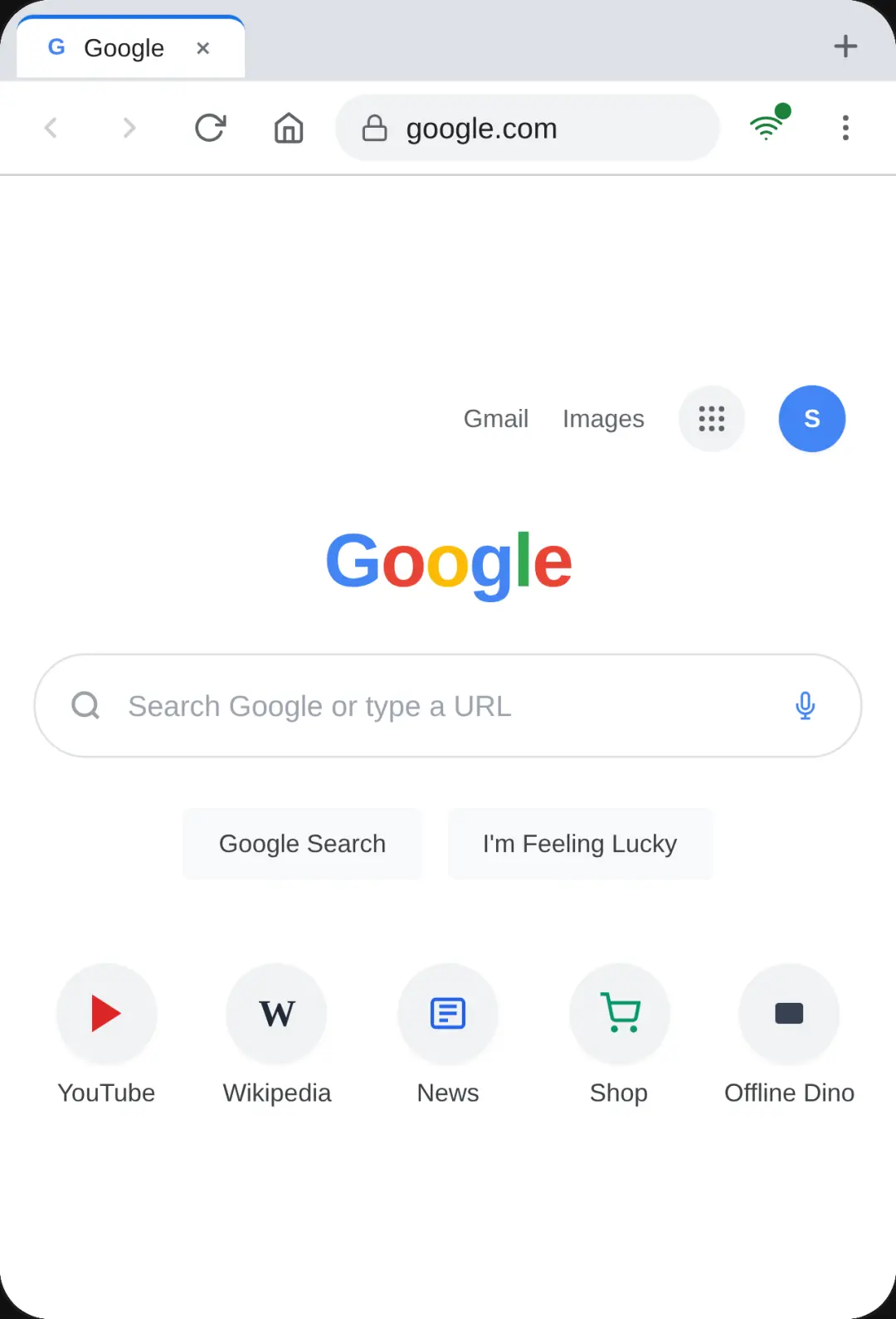 Goggle cover