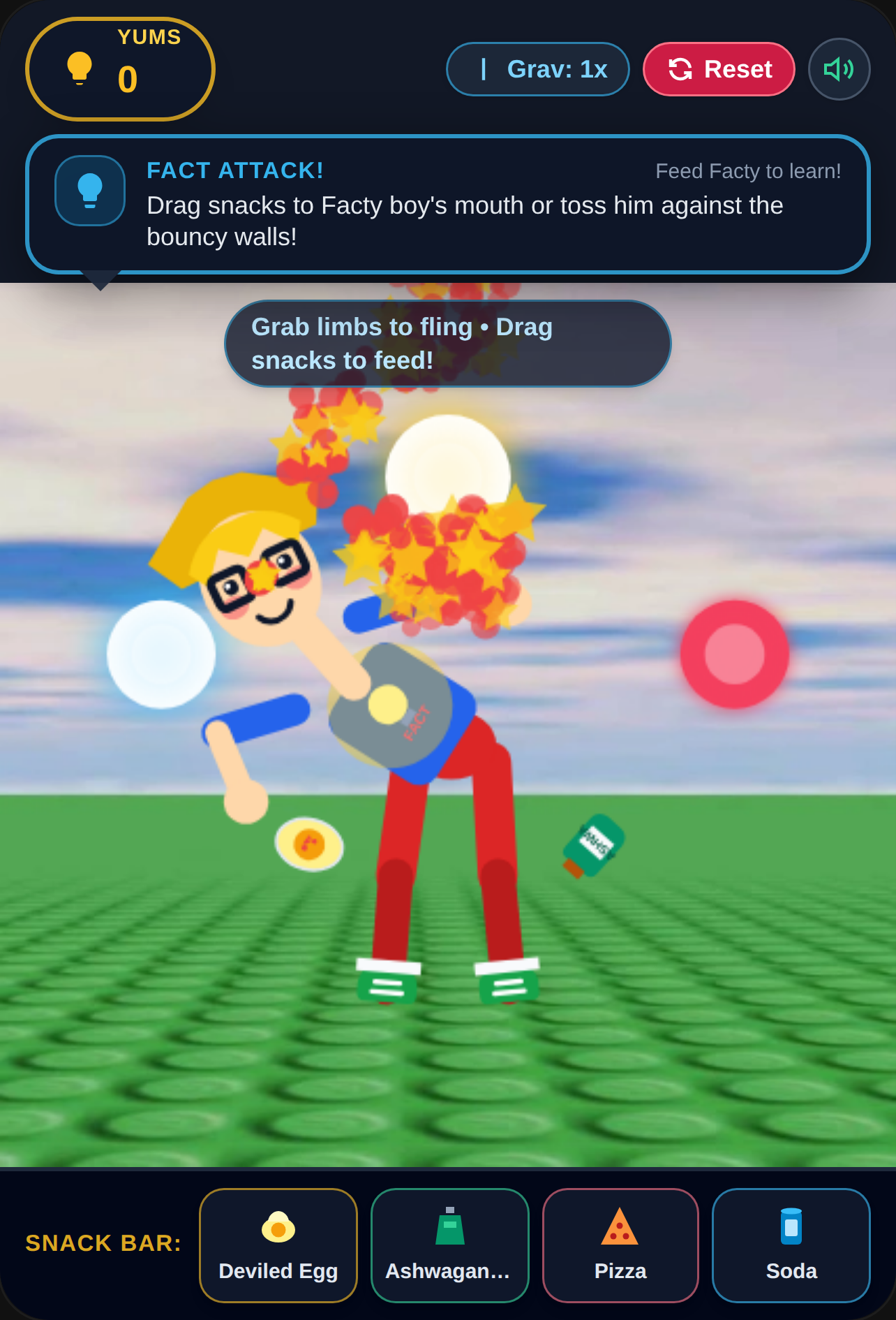 Facty Boy Ragdoll Sandbox cover