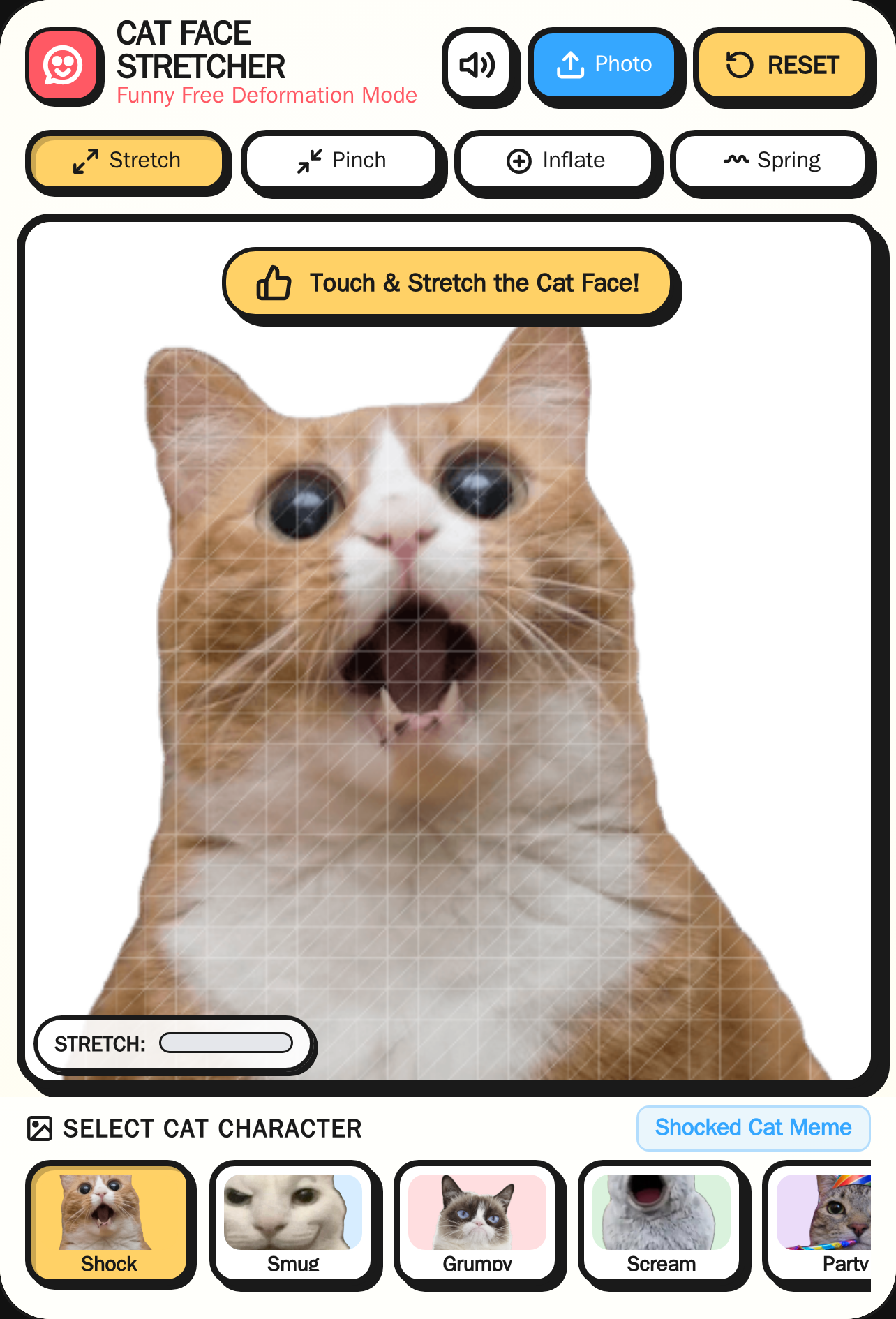 Face Stretcher - Cat Meme cover