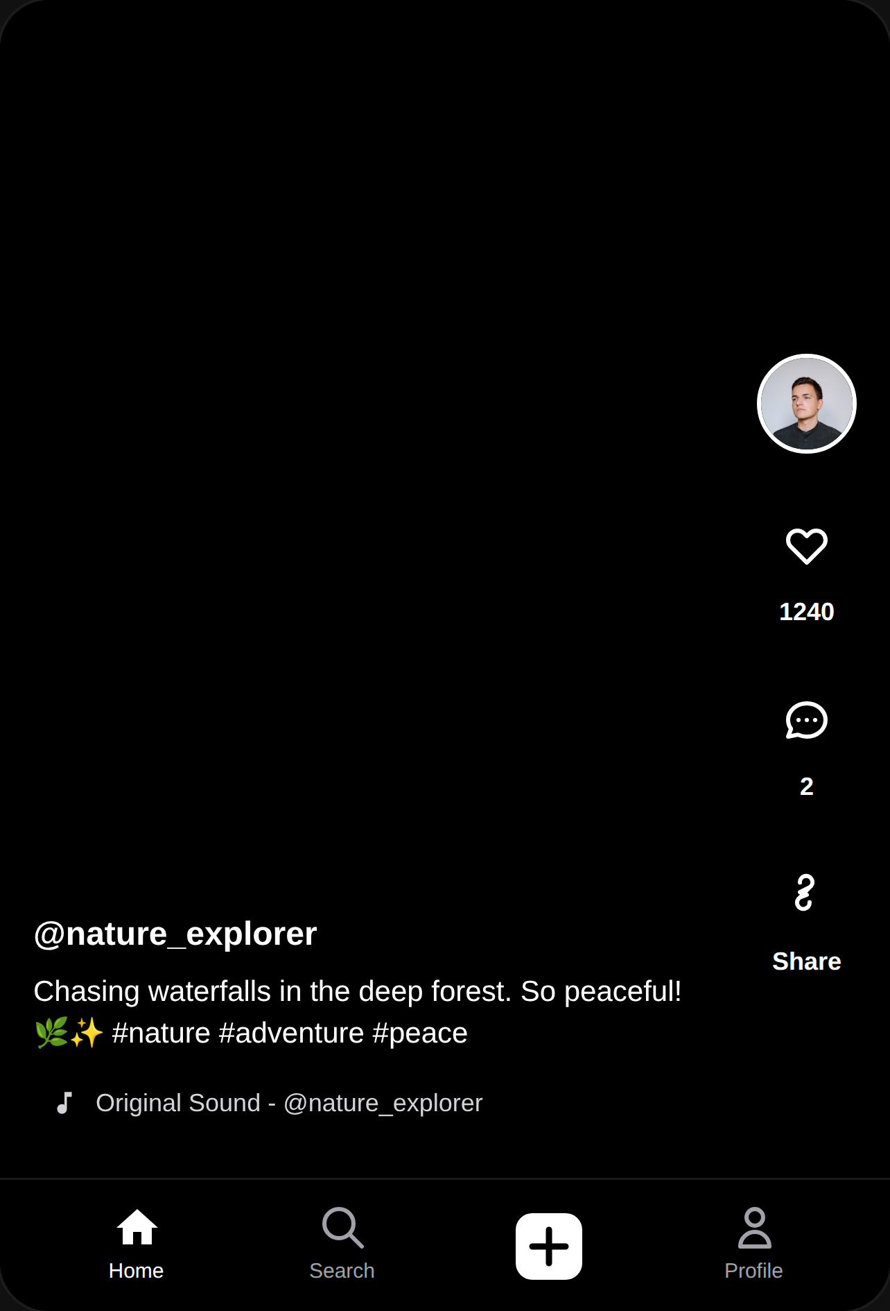 VidPulse - Video and Photo Sharing cover