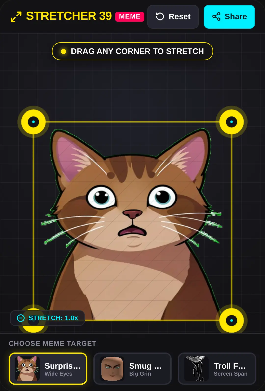 MEME Stretcher 39 cover