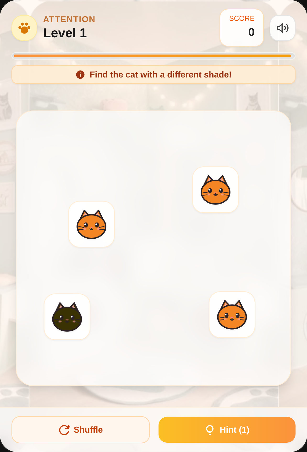 Find the Cat cover