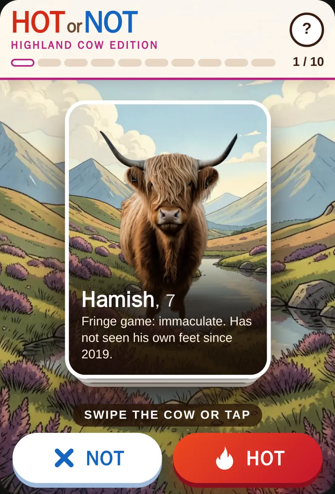 Hot or Not: Highland Cows cover