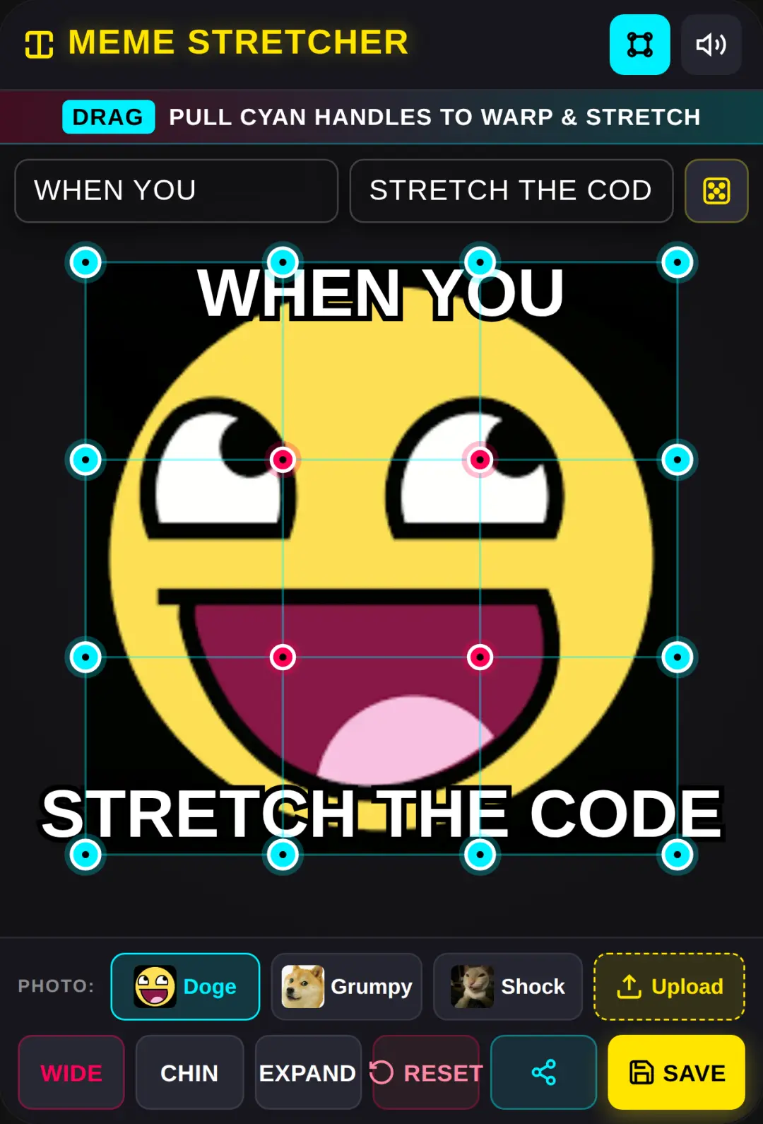 Meme Stretcher cover